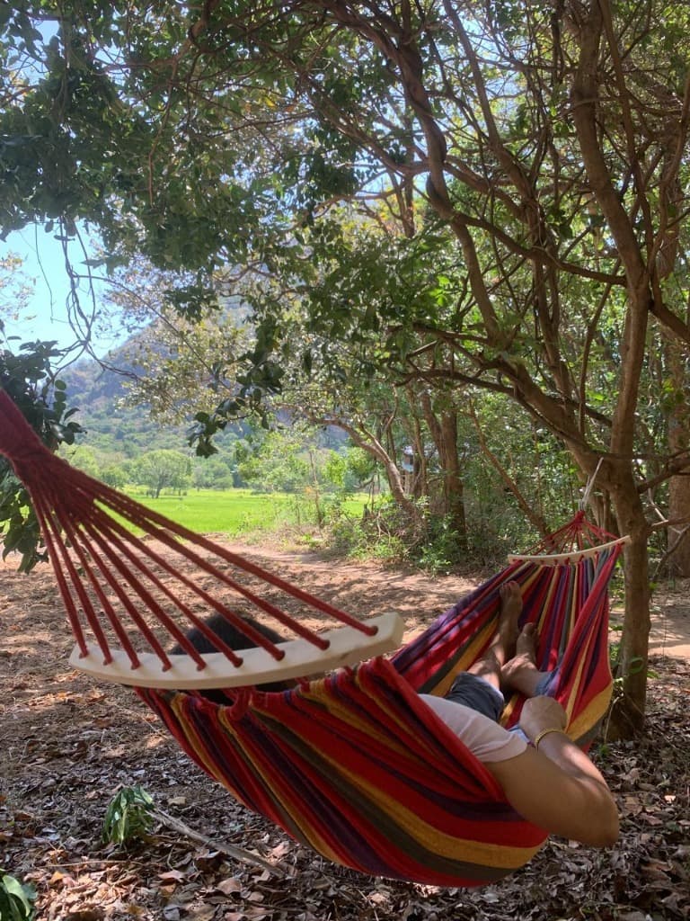 The Art of Slow Living