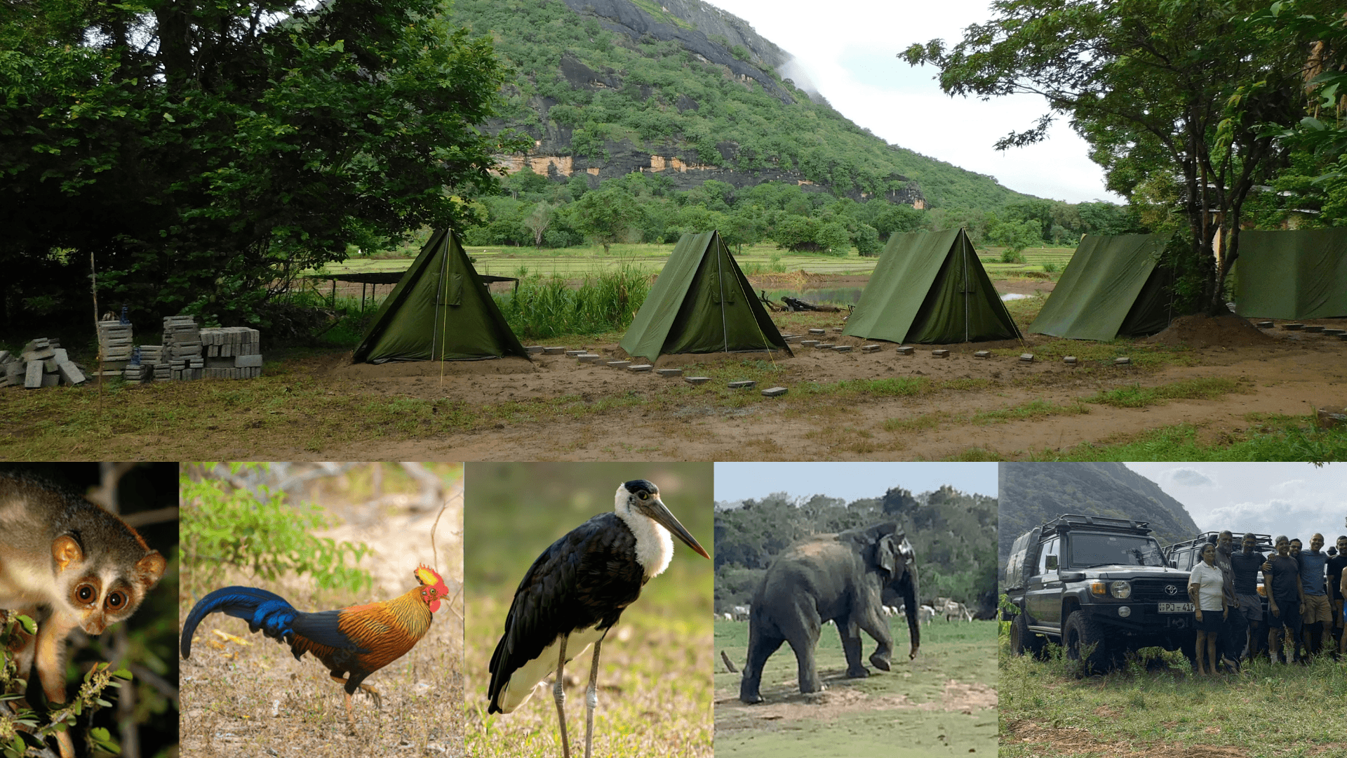 Uncharted Wilderness